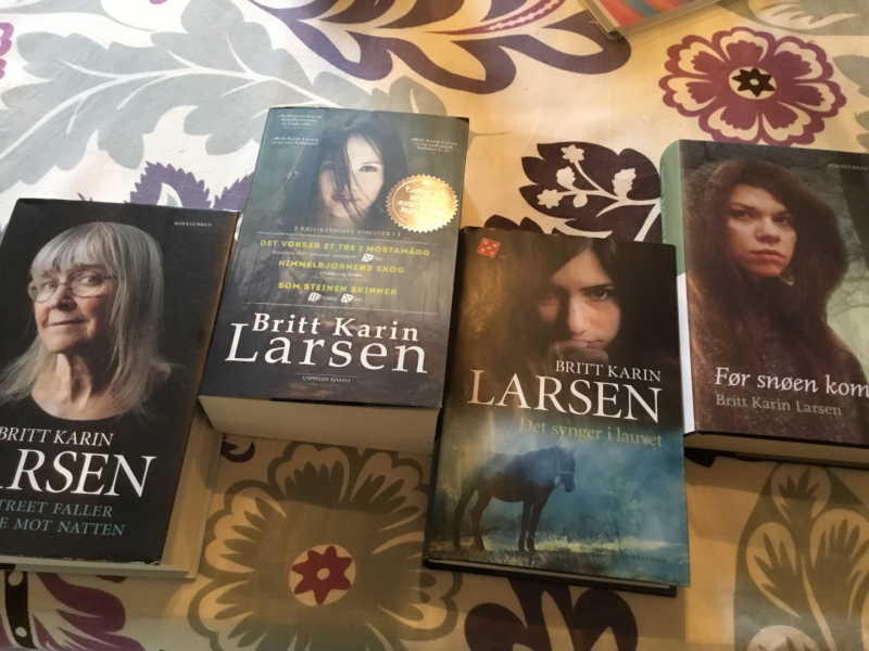 HUN LOT SEG INSPIRERE